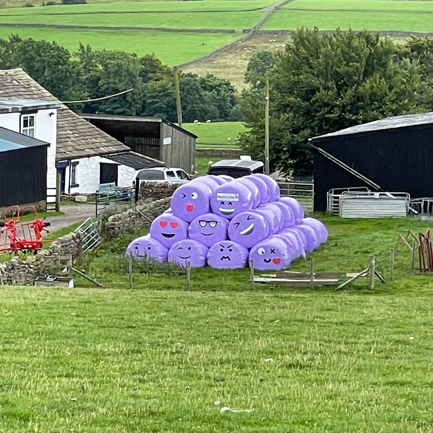 A brace of ‘forces’ with the clan to wrap the weekend, oh, and some happy bales #teesdale