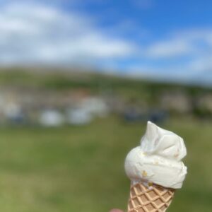 Somewhere new today, from Reeth, up and along Fremington ridge, then down and back along the river ☀️🐕💨🍦