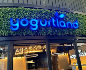 Jo’Burg run to shake off the flight (and the steak 🥩), and possibly the worst theme park ever! #yogurtland
